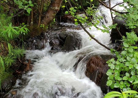 Cascade