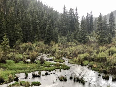 Spring Rain on Poncha Creek