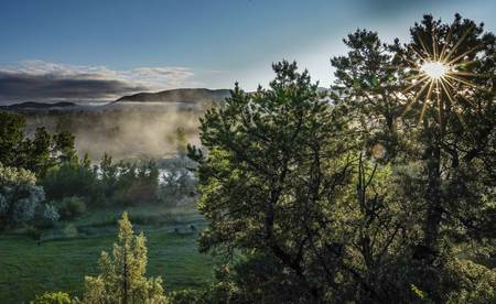 Misty Mountain Morning