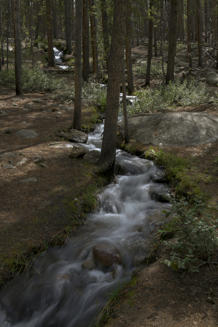 DeMary Ditch