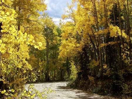 Autumn in Colorado