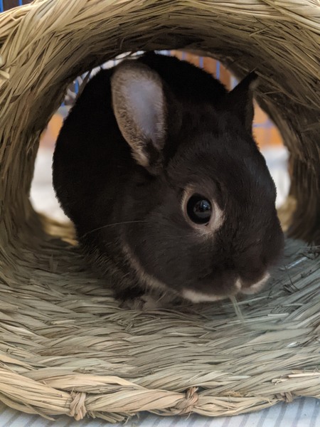 Luna