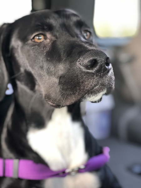 Leroy 