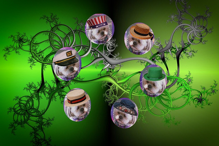 Teacup