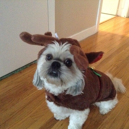 Finnigan
