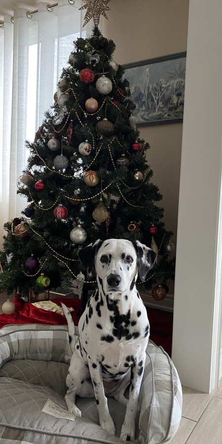 Gia