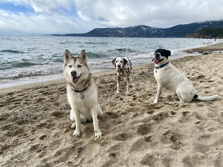 Ginny Seth & Hank