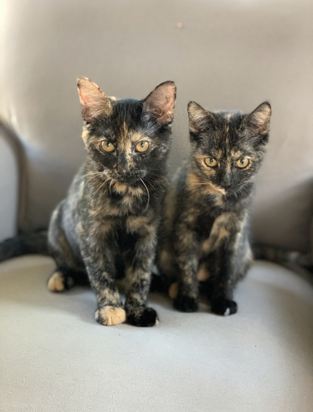 Matilda & Pixie