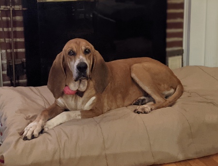 Reba