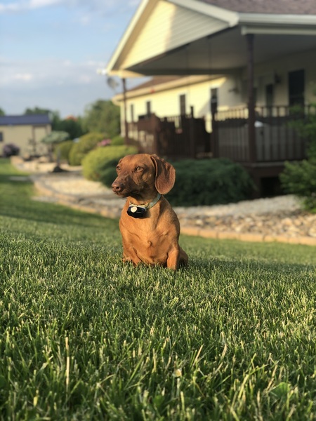 Oscar