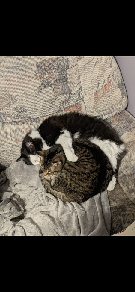 Keke and Oreo