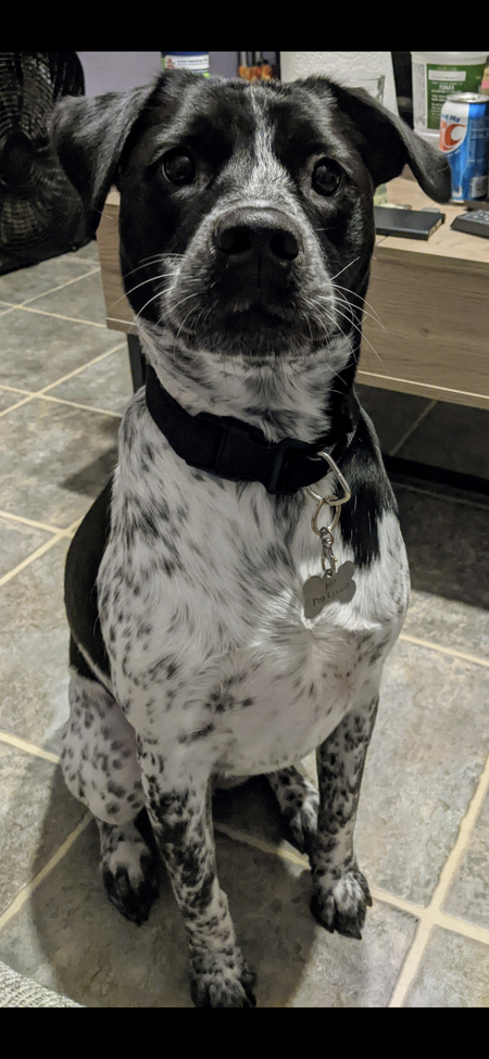 Luna