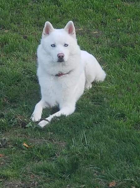 Tucker