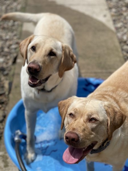 Toba and Sunny 