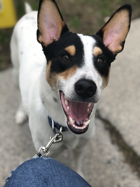 Benny