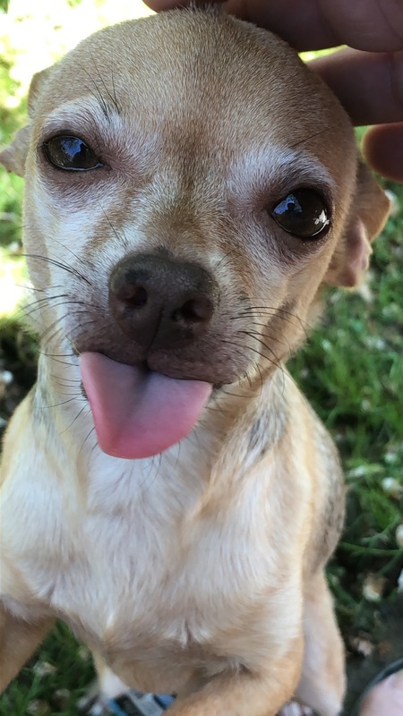 Spunky