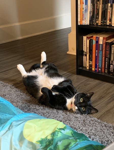 Luna
