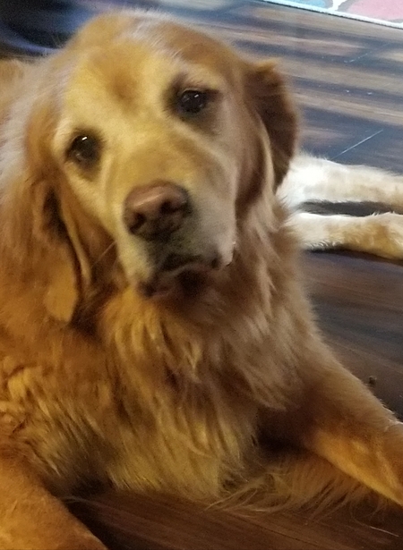 Ella 