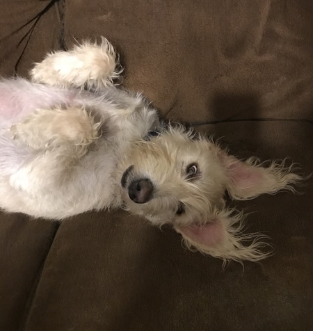 Winston