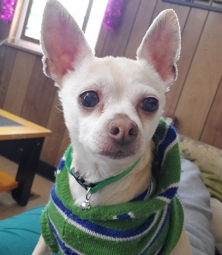 Peanut