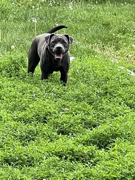 Luna