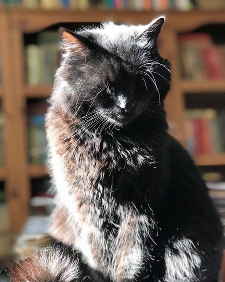 Dexter