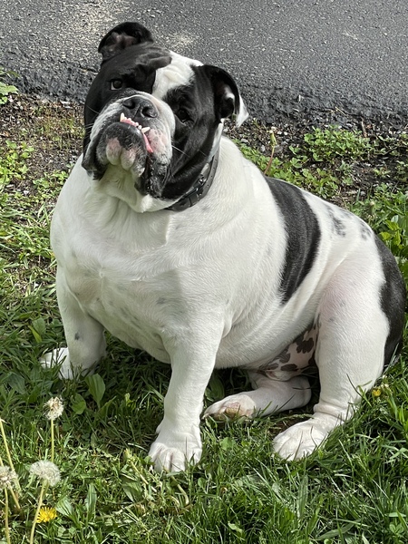 Kilo