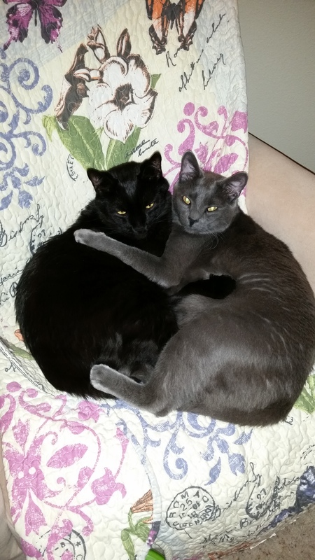Sparky and Samson