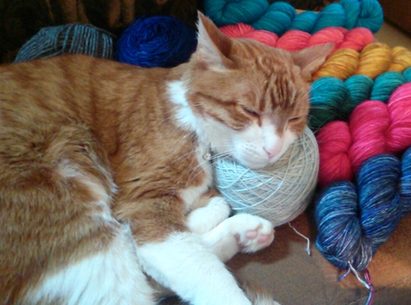 Mr. Simba keeps mommy's yarn warm