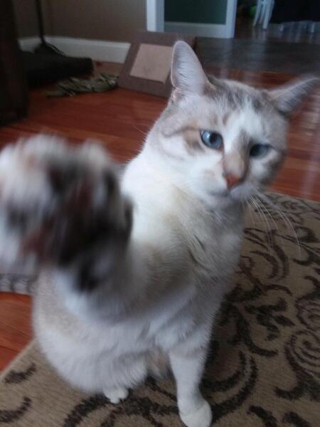 Lucy