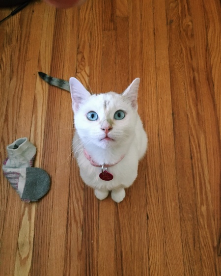 Lily