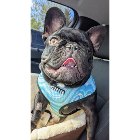 Jax