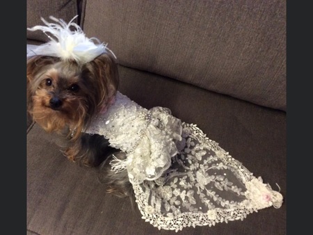 Princess Lilly