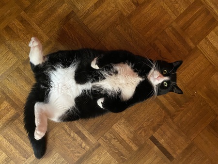 Carl