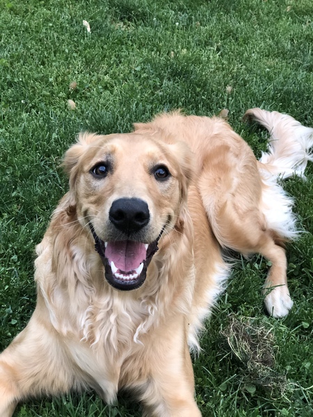 Bailey