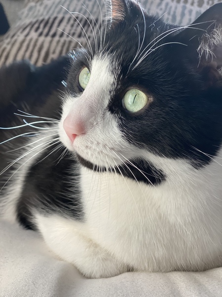Rocky