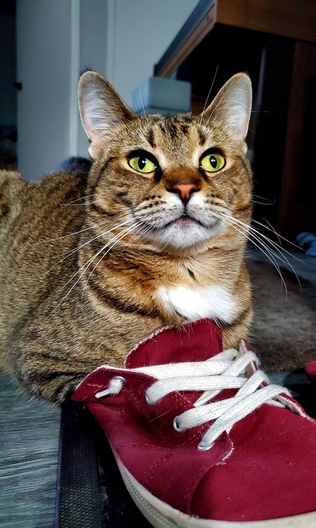 Empress