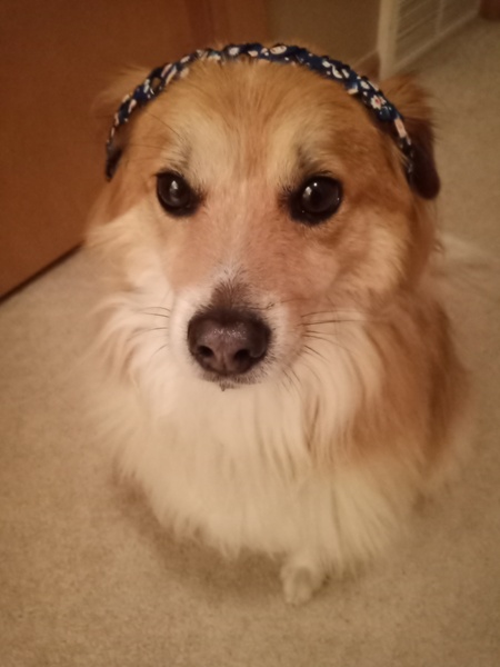 Chunbao