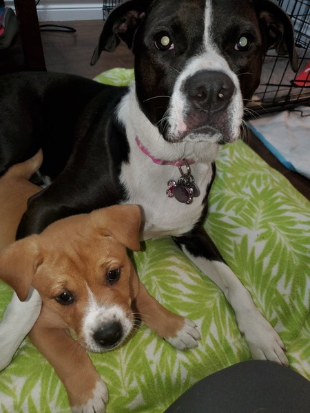 Murphy and Molly