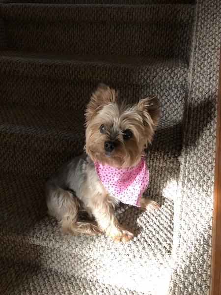 Roxy Kettlewell