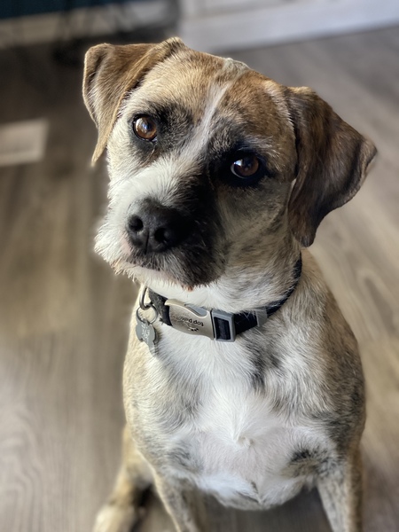 Baxter
