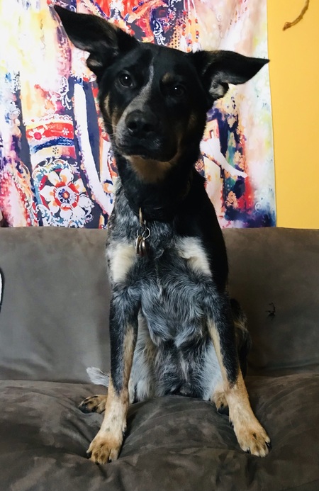 Ellie-May