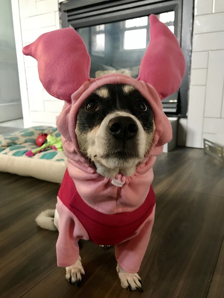 Lola