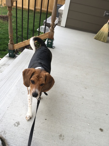 Maggie 