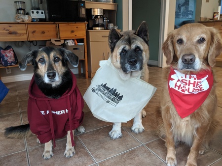 River, Xena & Willow