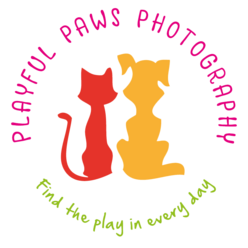 https://www.playfulpawsphotography.com