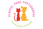 https://www.playfulpawsphotography.com