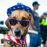 Entry image for Murphy 