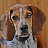 Entry image for Colby