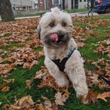 Entry image for Crosby